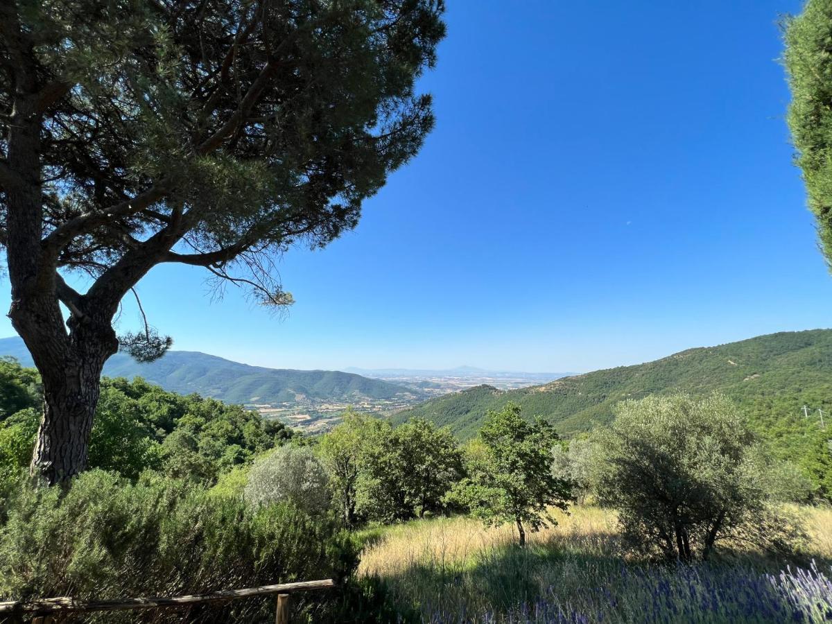 Coppa Di Sopra - Beautiful With Superb View Villa *