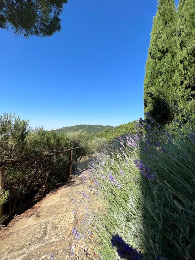 Coppa Di Sopra - Beautiful With Superb View Villa *