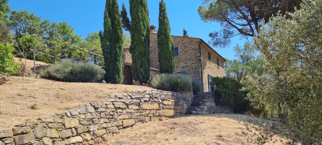 Coppa Di Sopra - Beautiful With Superb View Santa Cristina (Arezzo)