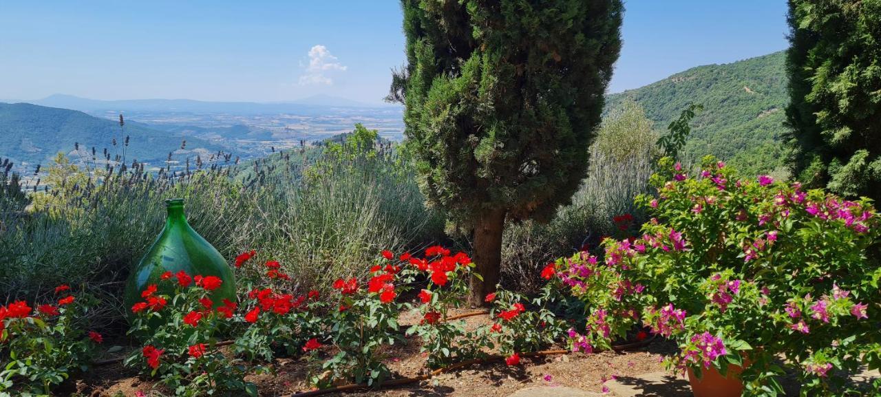 Villa Coppa Di Sopra - Beautiful With Superb View Santa Cristina (Arezzo)